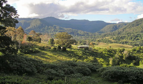 Mount Nardi Picnic Area - Restaurant Gold Coast 0