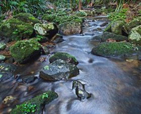 Protesters Falls - Restaurant Gold Coast 7