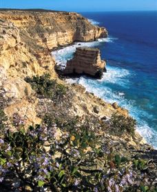 Coastal Cliffs - Restaurant Gold Coast 2