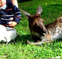 Bunbury Wildlife Park - Restaurant Gold Coast