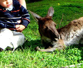 Bunbury Wildlife Park - Restaurant Gold Coast 0