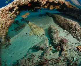 Aarhus Dive Site - Restaurant Gold Coast 3