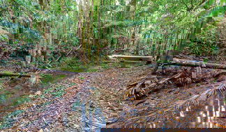 Book Karangi NSW Attractions Restaurant Gold Coast Restaurant Gold Coast