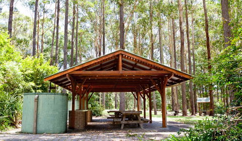 Bongil Picnic Area - Restaurant Gold Coast 0