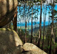 Mount Gulaga Mount Dromedary Walk - Restaurant Gold Coast
