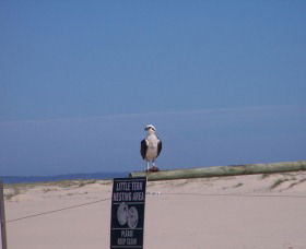 Manning Entrance State Park - Restaurant Gold Coast 1