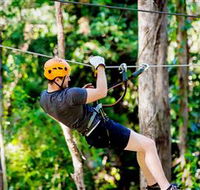 TreeTop Challenge Currumbin - Restaurant Gold Coast