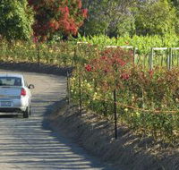 Cassegrain Wines - Restaurant Gold Coast