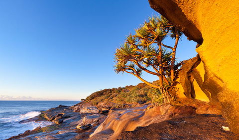 Angourie To Brooms Head - Restaurant Gold Coast 1