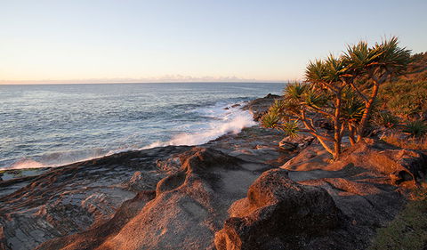 Angourie To Brooms Head - Restaurant Gold Coast 2