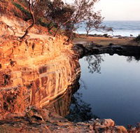 Angourie Blue Pool - Restaurant Gold Coast