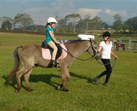 Port Macquarie Horse Riding Centre - Restaurant Gold Coast 0