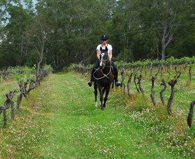 Port Macquarie Horse Riding Centre - Restaurant Gold Coast 1