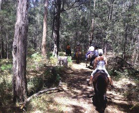 Port Macquarie Horse Riding Centre - Restaurant Gold Coast 4