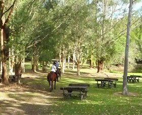 Port Macquarie Horse Riding Centre - Restaurant Gold Coast 6