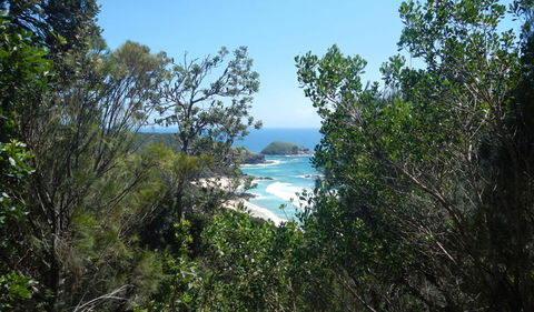 Jack Perkins Walking Track - Restaurant Gold Coast 1