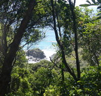 Rainforest walking track - Restaurant Gold Coast