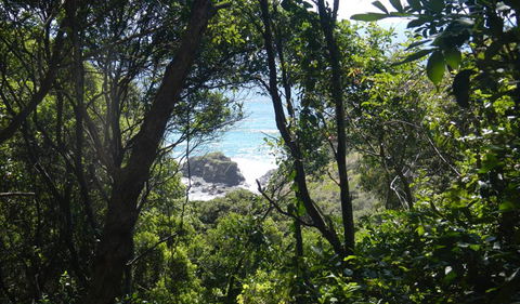 Rainforest Walking Track - Restaurant Gold Coast 0
