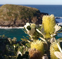 Green Island walking track - Restaurant Gold Coast
