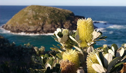 Green Island Walking Track - Restaurant Gold Coast 0