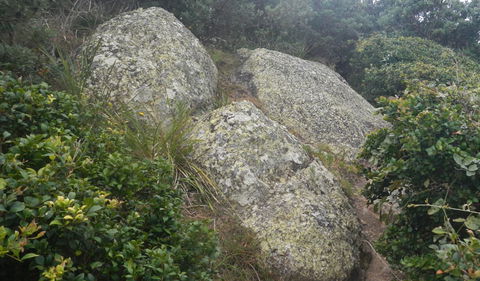 Korogoro Walking Track - Restaurant Gold Coast 2