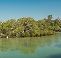 Tyagarah Nature Reserve - Restaurant Gold Coast