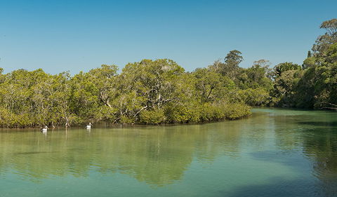 Tyagarah Nature Reserve - Restaurant Gold Coast 0