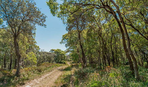 Tyagarah Nature Reserve - Restaurant Gold Coast 2
