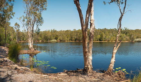 Tyagarah Nature Reserve - Restaurant Gold Coast 3