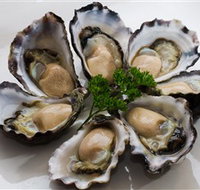 Tathra Oysters - Restaurant Gold Coast