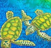 Sea Silks Gallery - Restaurant Gold Coast