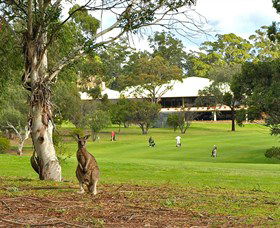 Pambula Merimbula Golf Club - Restaurant Gold Coast 0