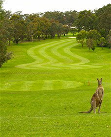 Pambula Merimbula Golf Club - Restaurant Gold Coast 2