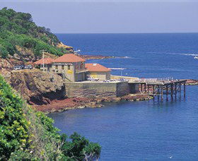Merimbula Aquarium - Restaurant Gold Coast 0