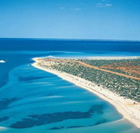 Monkey Mia - Restaurant Gold Coast