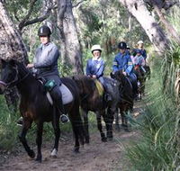 Mirravale Horse Riding School - Restaurant Gold Coast