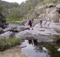 Nadgee Wilderness Walk - Restaurant Gold Coast