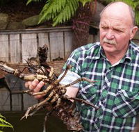 Lobster Ponds - Restaurant Gold Coast