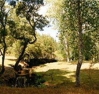 Oldina Picnic Area - Restaurant Gold Coast