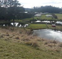 Guide Falls Farm - Restaurant Gold Coast