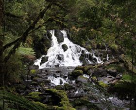 Hellyer Gorge - Restaurant Gold Coast 2