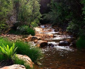 Hellyer Gorge - Restaurant Gold Coast 1