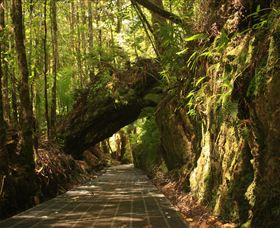 Philosopher Falls - Restaurant Gold Coast 0