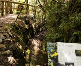 Philosopher Falls - Restaurant Gold Coast 1