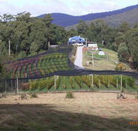 Motton Terraces - Restaurant Gold Coast