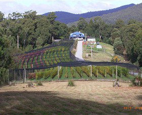 Motton Terraces - Restaurant Gold Coast 0