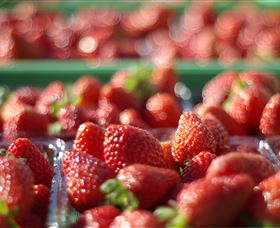 Turners Beach Berry Patch - Restaurant Gold Coast 0