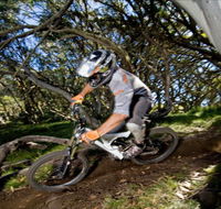 All Terrain Cycles - Restaurant Gold Coast