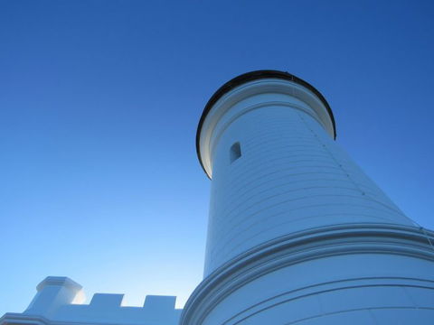 Vision Walks Eco Tours - Restaurant Gold Coast 13