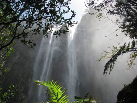 Vision Walks Eco Tours - Restaurant Gold Coast 21